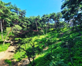 버스킹해요
